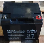 Power Kingdom PK 45-12 12V 45Ah Dry Battery 2