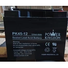 Baterai Aki Kering Power Kingdom PK 45-12 12V 45Ah 2
