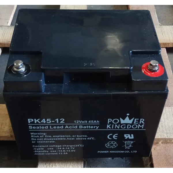 Power Kingdom PK 45-12 12V 45Ah Dry Battery