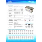 BATERAI AGM Power Kingdom PK65-12 Baterai Industri 3