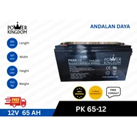 Battery AGM Power Kingdom PK65-12 Battery Industry