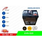 Ritar EV Battery 6-310 Aki Mobil 1